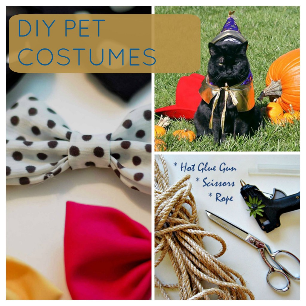 DIY PET Costumes